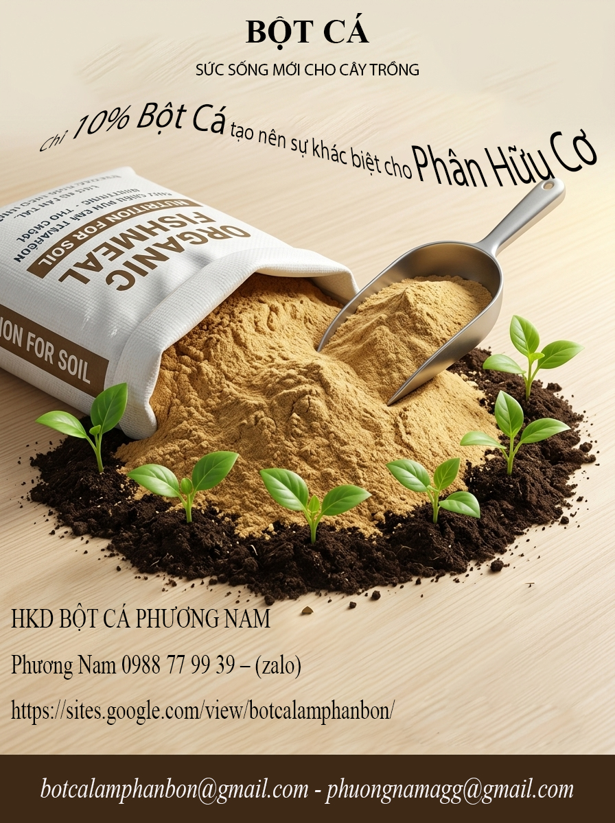 Bột Cá – Giải Pháp Nâng Tầm Phân Bón Hữu Cơ